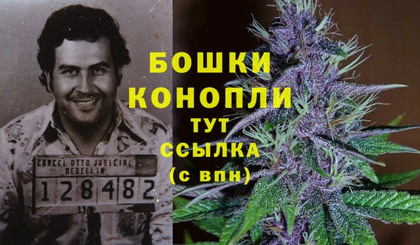 дживик Арсеньев